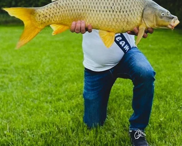 Διαμέρισμα Sunset Apartmanhaz Balatonvilágos